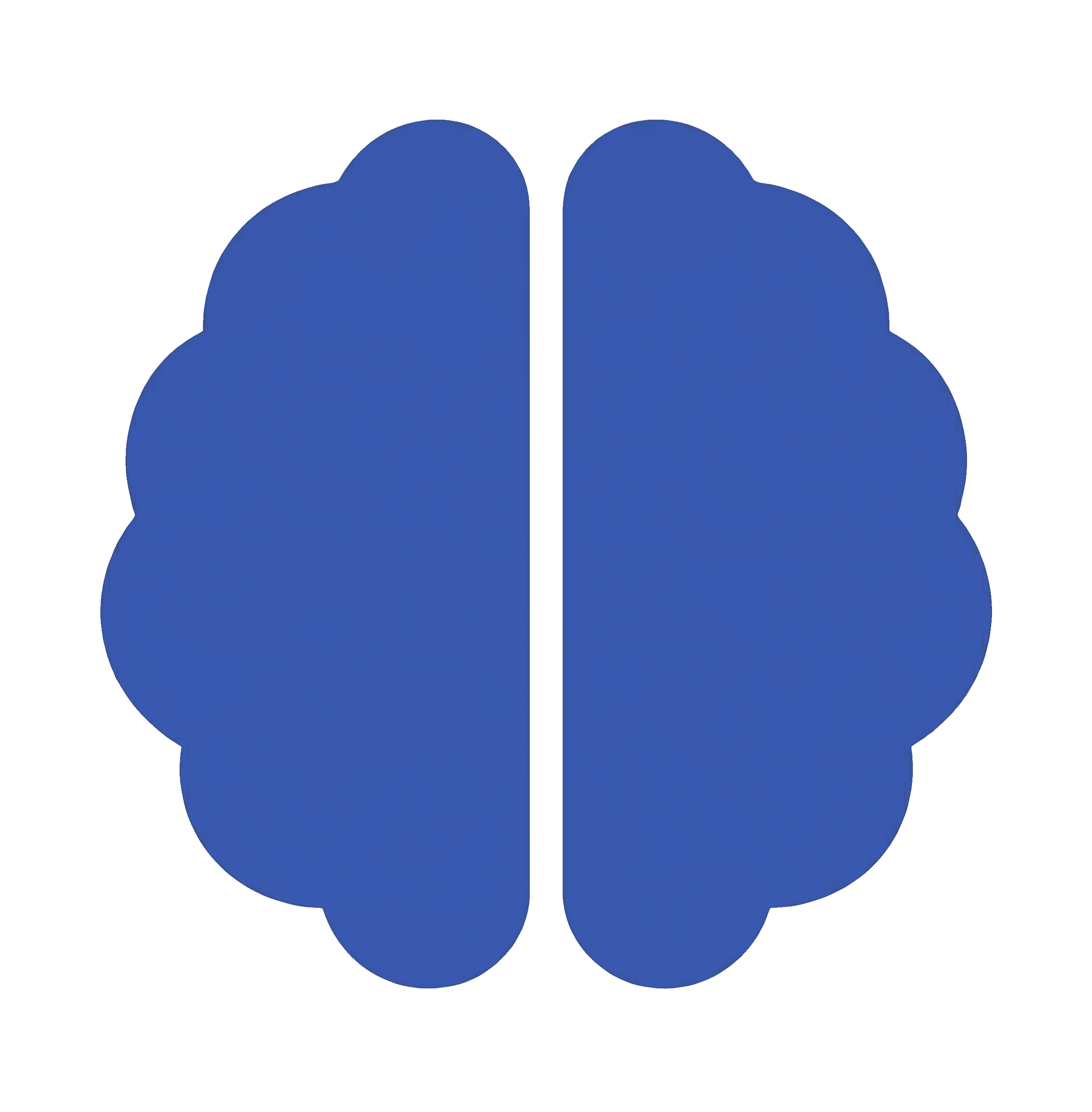 brain icon